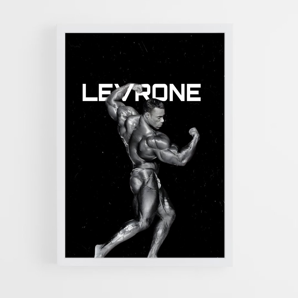 Poster Kevin levrone (vue 3)
